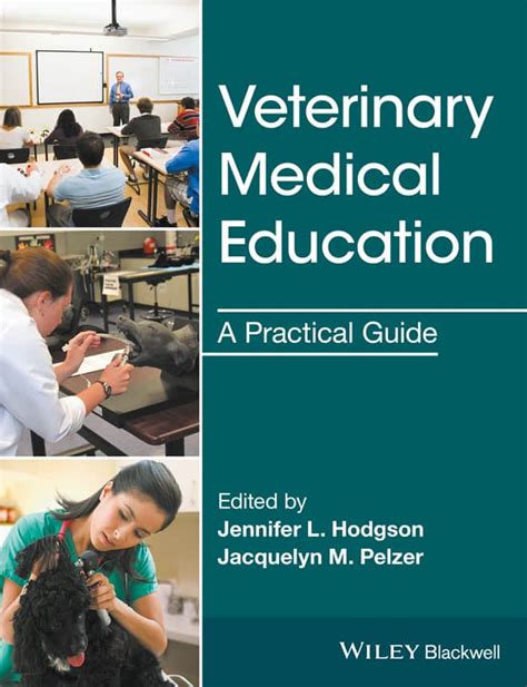 vet training resources|Good Practice in VET Teaching and Learning a guide to  .